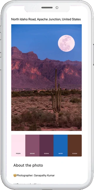 A DailyTips photography newsletter shown on a phone